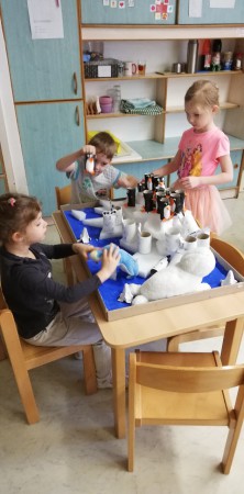 Déli sarkon jártunk